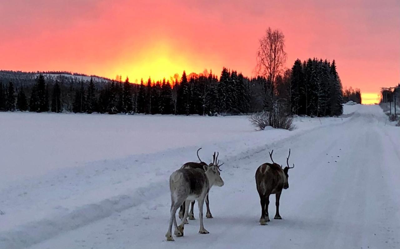 Kaetkae Lake Lodge Tervola Luaran gambar